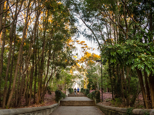 Walking in Bicentennial Park 