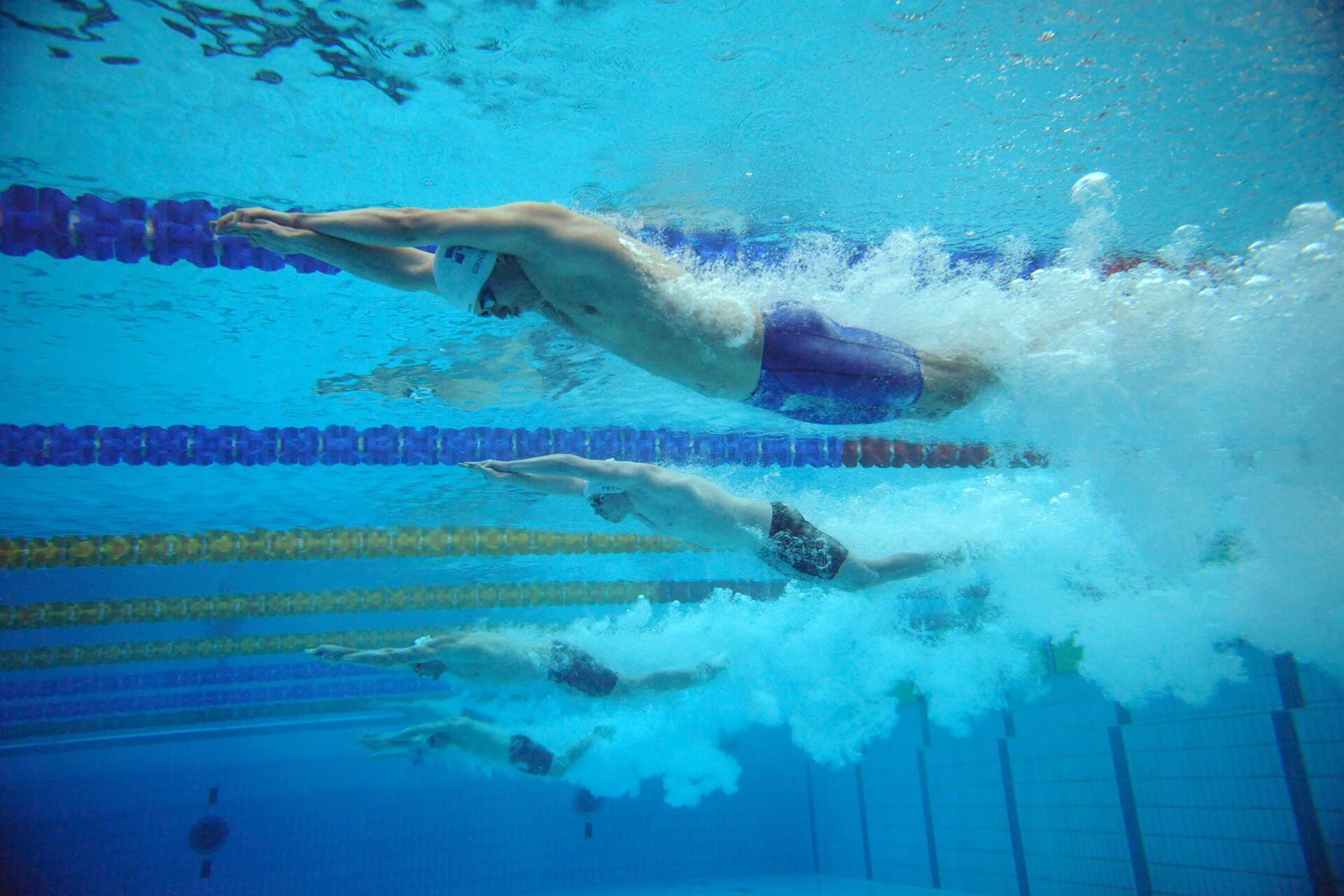 Swimmers underwater in lanes