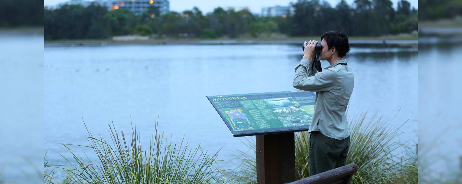 Image Sydney Olympic Parks Water Bird Refuge