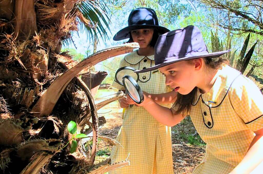 Images of two students holding magnifying glasses