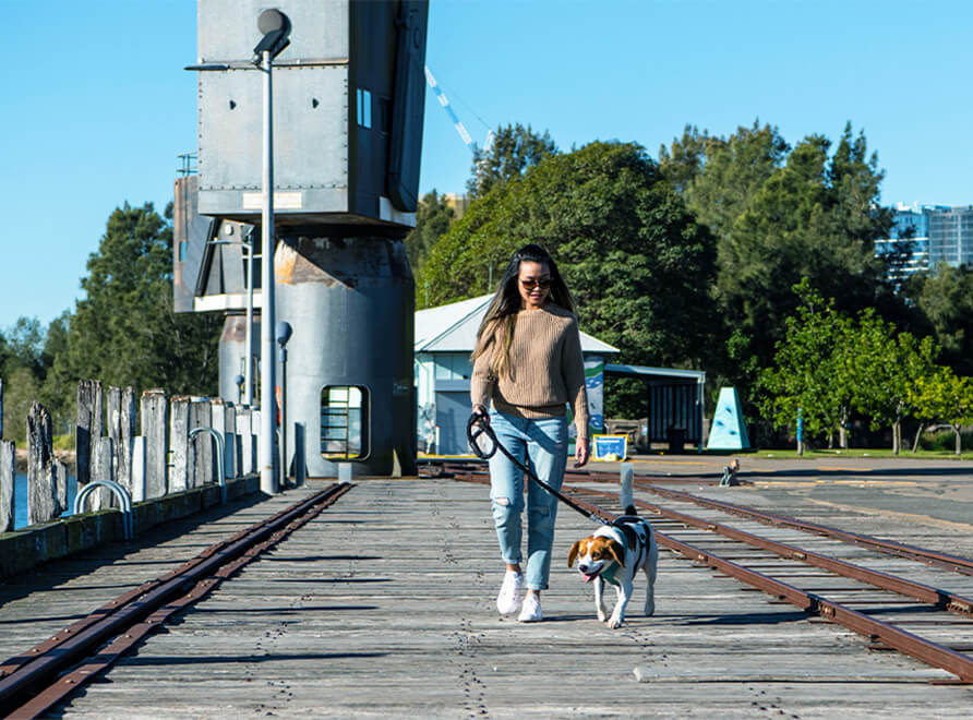 Pets in the Park