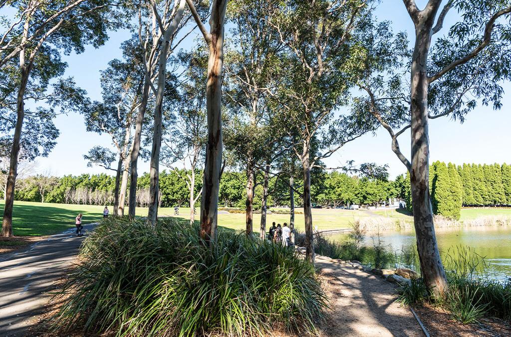 Bicentennial Park at Sydney Olympic Park