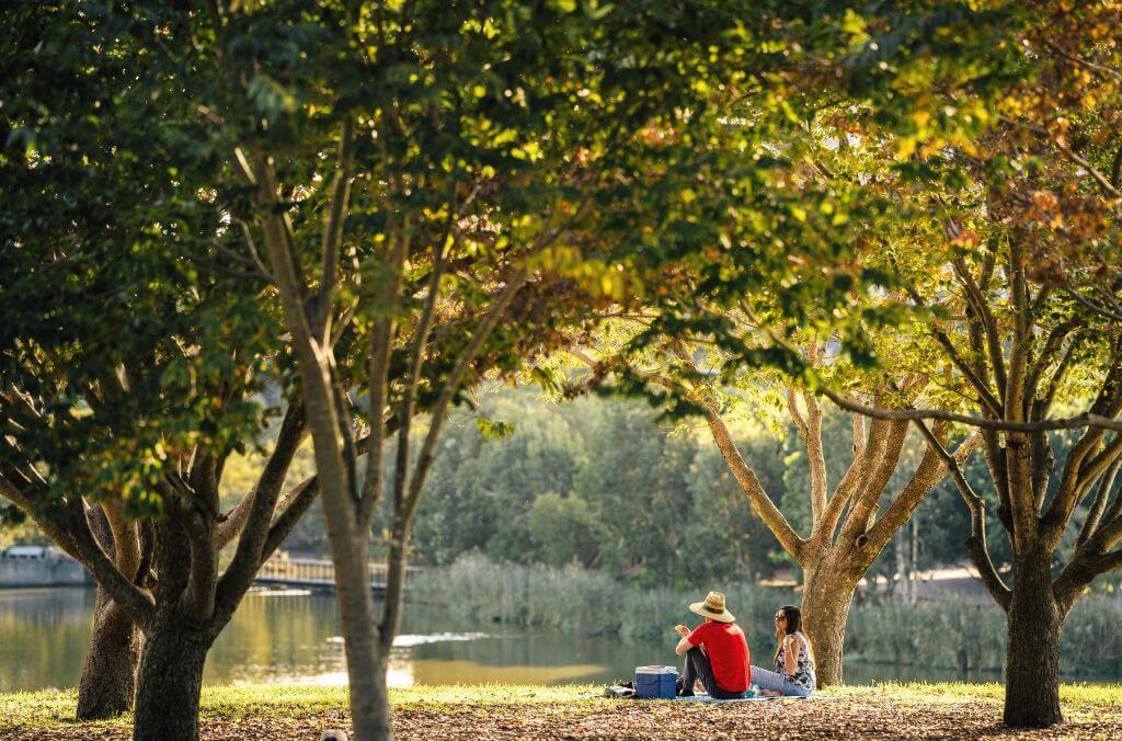 Image of two people having a picnic in the park in front of a lake